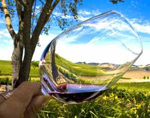 Mary Gulino Photography: Tasting Napa